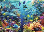 Unterwasserwelt