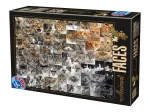 Collage - Katzen