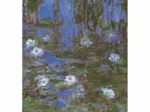 Monet: Nymphéas