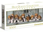 Beagles
