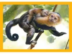 Puzzle 4 En 1 - Mutter und Baby Tiere
