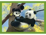 Puzzle 4 En 1 - Mutter und Baby Tiere