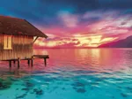 Peace - Living The Present