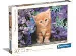 Katze Im Blumenmeer