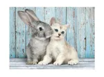 Cat and Bunny