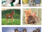Puzzlebox 10 in 1 - Tierische Freunde