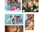 Puzzlebox 10 in 1 - Tierische Freunde