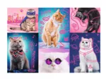 Neon Color Line - Cats