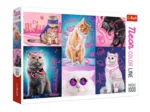 Neon Color Line - Cats