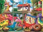 Tea Time: Welt Der Vögel