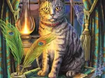 Magische Sammlung: Buch Der Schatten