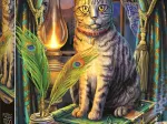 Magische Sammlung: Buch Der Schatten