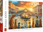 Hunde in Venedig
