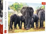 African Elephants