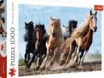 Galopping Horses