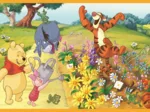 2 Puzzles - Tag im Garten