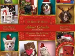 Adventskalender Tiere
