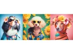 Doggie Fashion Week