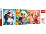 Doggie Fashion Week