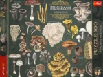 Finders Keepers - Pilze