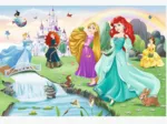 Meet the Princesses